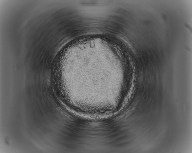 X0000090991409200708301302