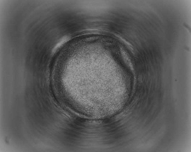 X0000090991411200708301302