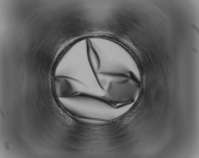 X0000090991412200708301302