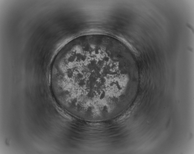 X0000090991413200708301302