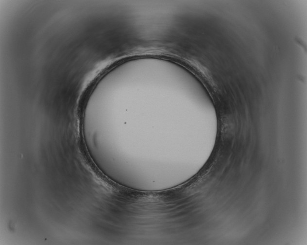 X0000090991414200708301302