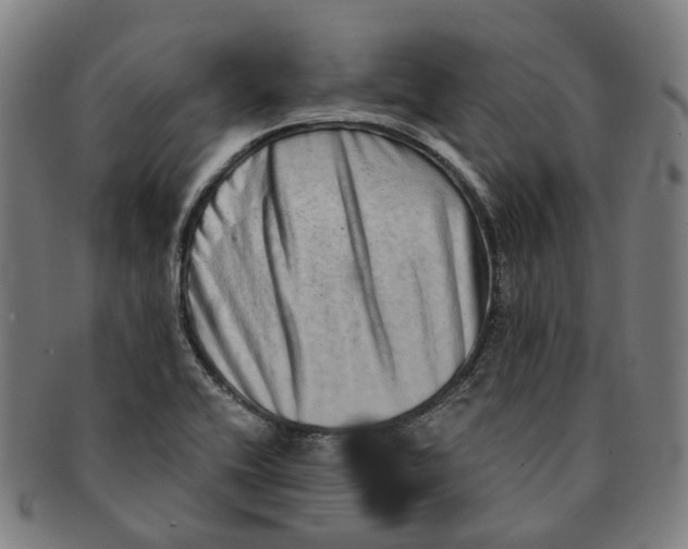 X0000090991416200708301302