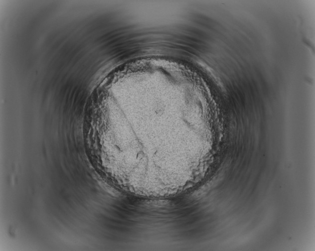 X0000090991417200708301302