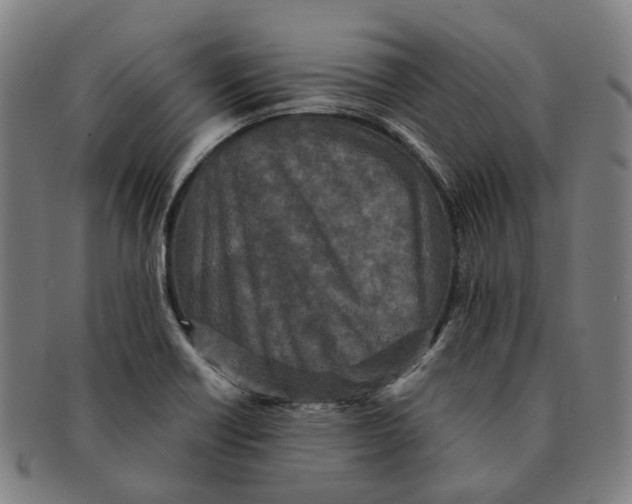 X0000090991418200708301302