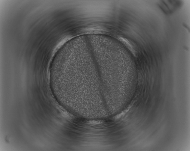 X0000090991419200708301302