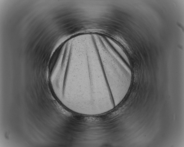 X0000090991420200708301302