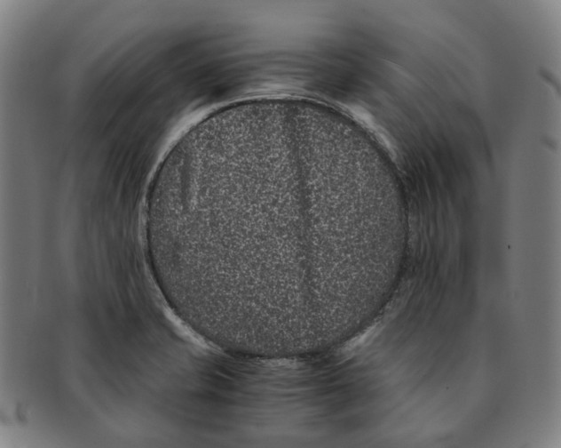 X0000090991421200708301302