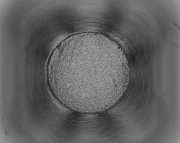 X0000090991423200708301302