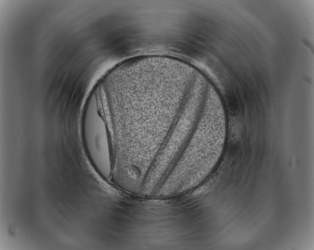 X0000090991424200708301302