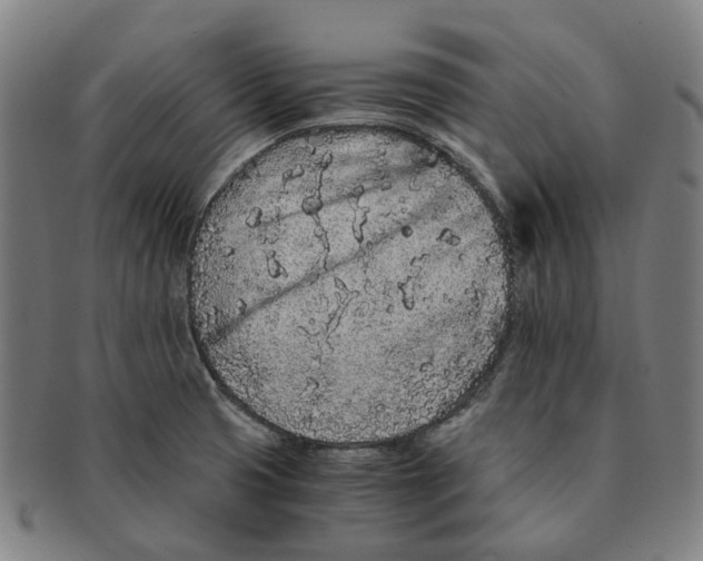 X0000090991425200708301302