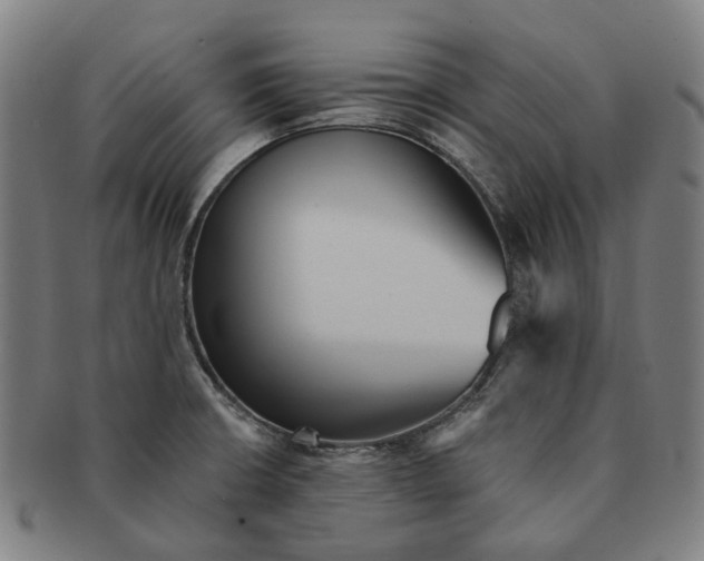 X0000090991426200708301302