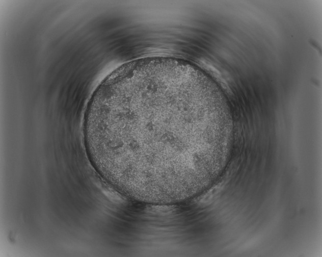 X0000090991427200708301302