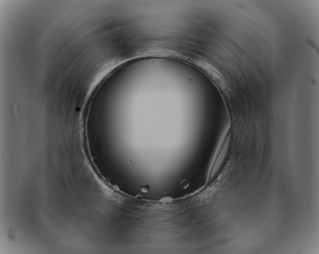 X0000090991430200708301302