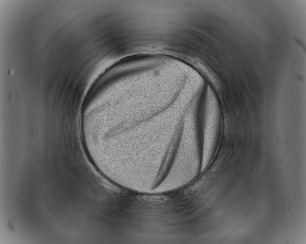 X0000090991432200708301302