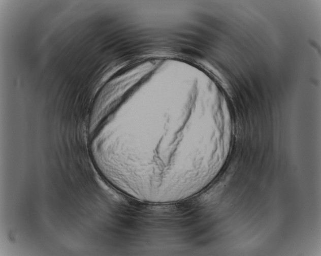 X0000090991433200708301302