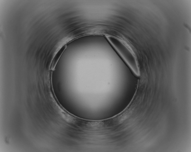 X0000090991434200708301302