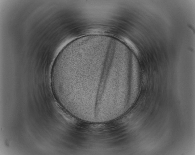 X0000090991435200708301302