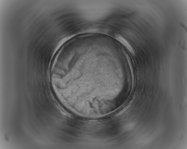 X0000090991436200708301302