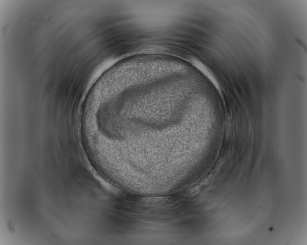 X0000090991437200708301302