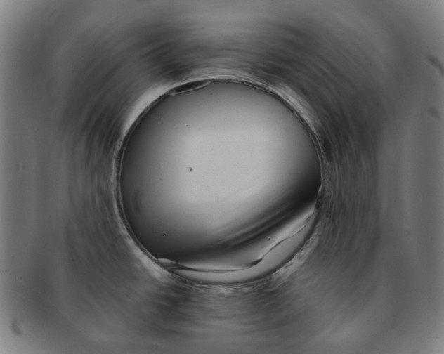 X0000090991438200708301302