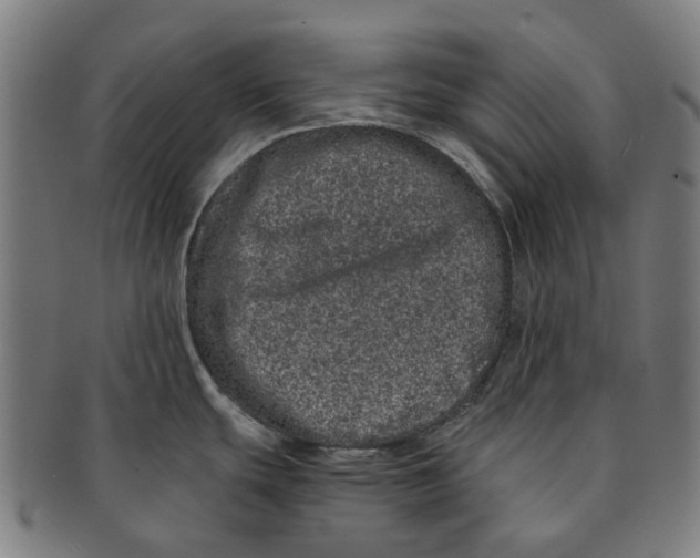 X0000090991439200708301302