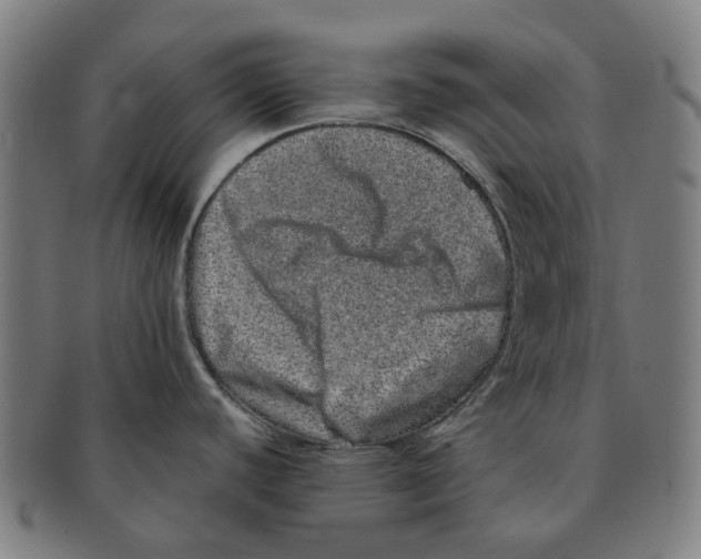 X0000090991440200708301302