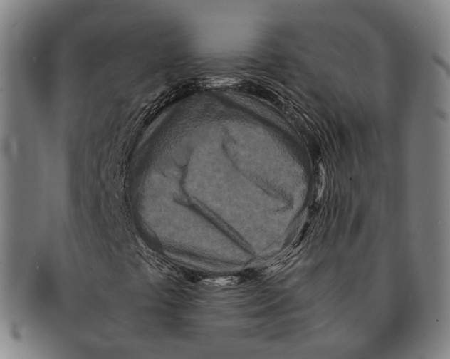 X0000090991441200708301302