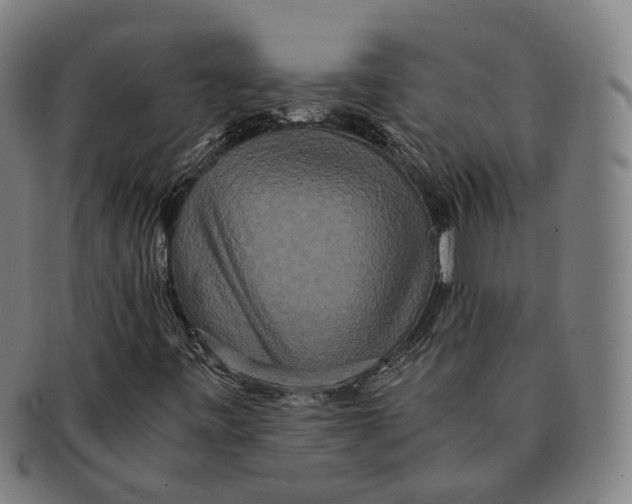 X0000090991443200708301302