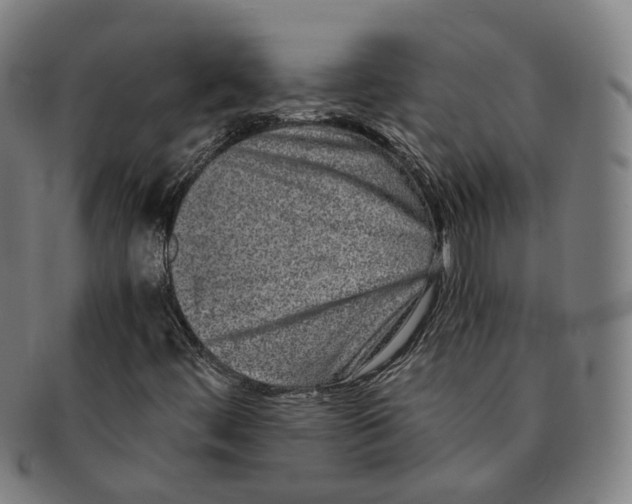 X0000090991444200708301302