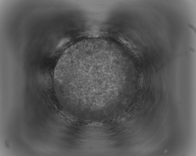 X0000090991446200708301302