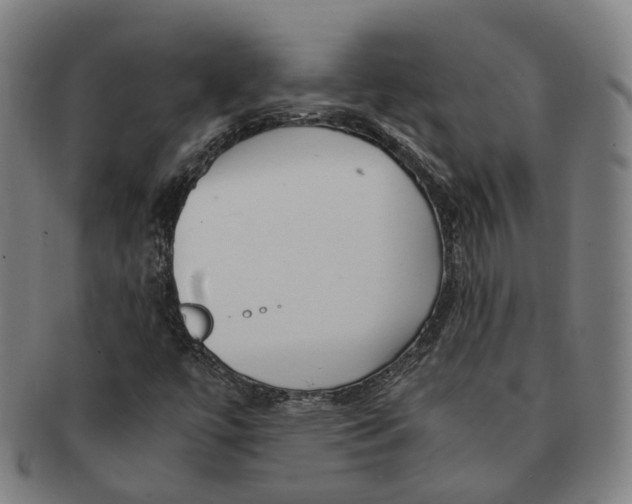 X0000090991447200708301302