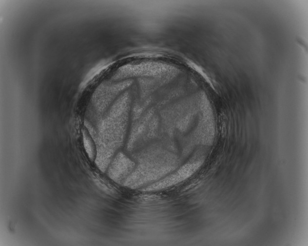 X0000090991448200708301302