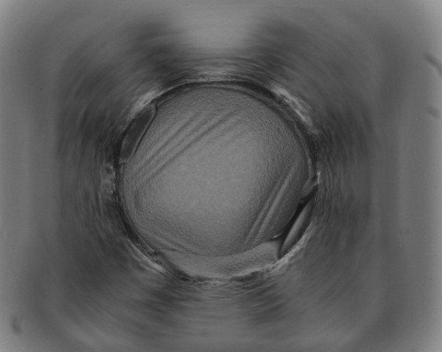 X0000090991449200708301301