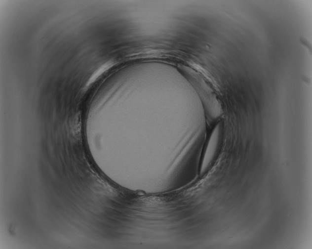 X0000090991450200708301301