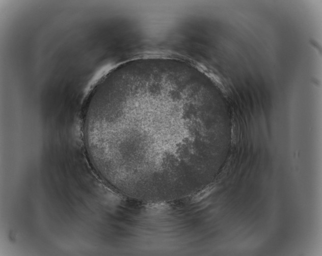 X0000090991454200708301301