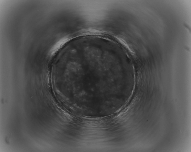 X0000090991455200708301301