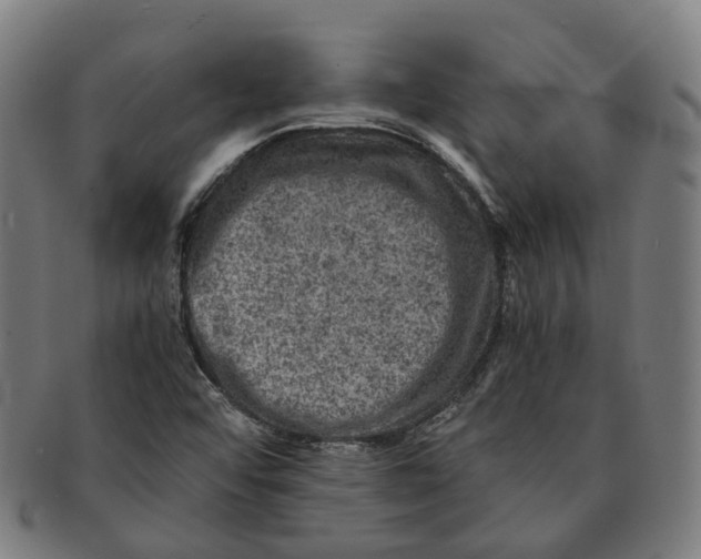 X0000090991456200708301301