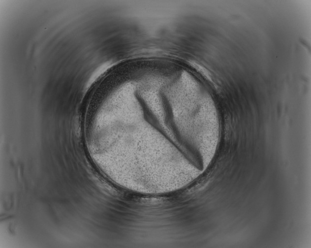 X0000090991458200708301301