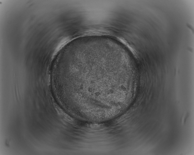 X0000090991459200708301301