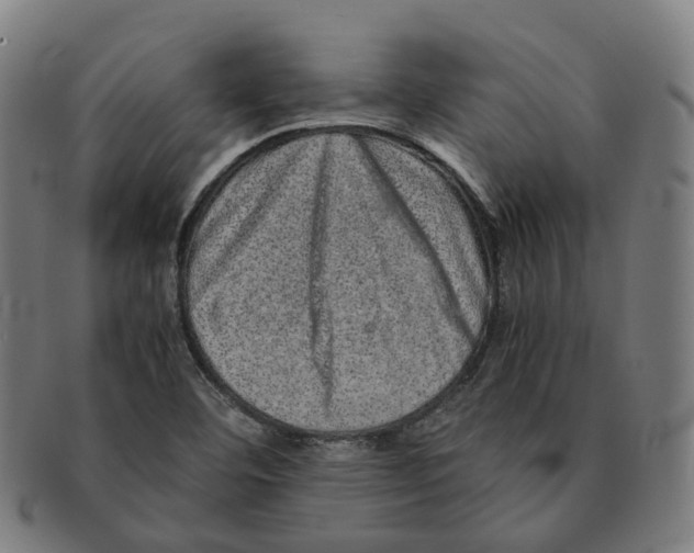 X0000090991460200708301301