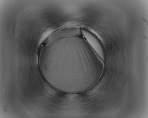 X0000090991461200708301301