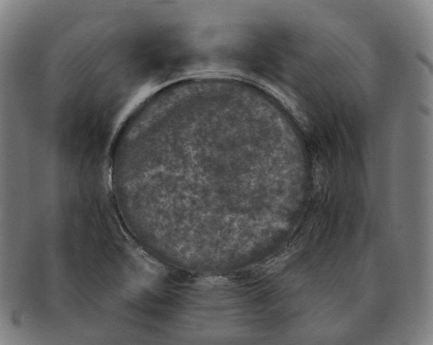 X0000090991462200708301301