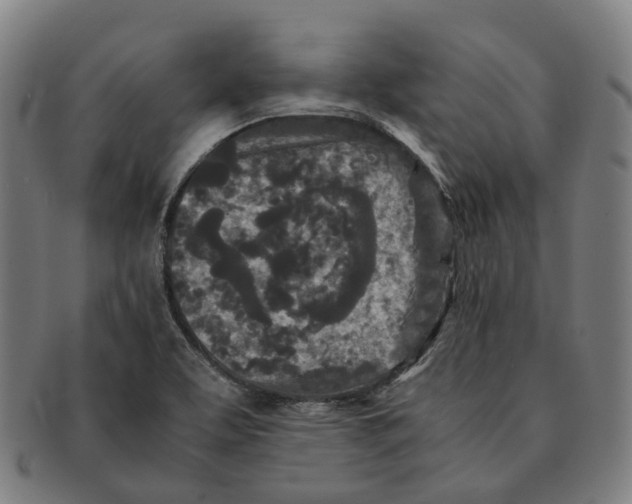 X0000090991463200708301301