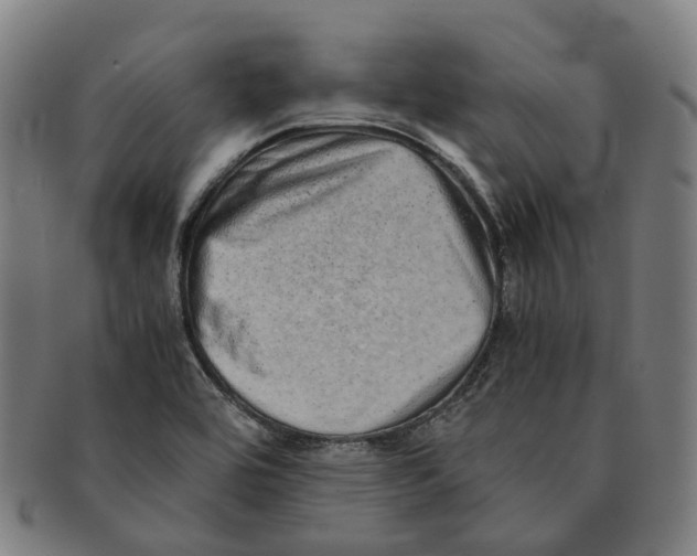 X0000090991464200708301301