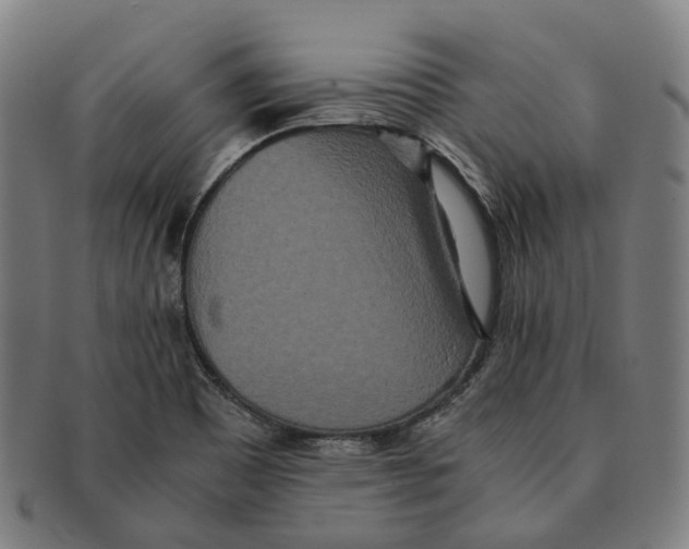 X0000090991465200708301301