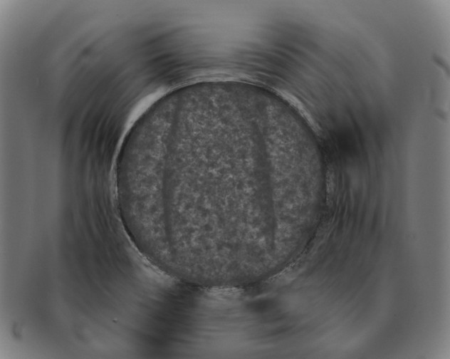 X0000090991466200708301301