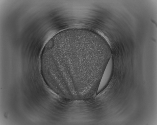 X0000090991467200708301301