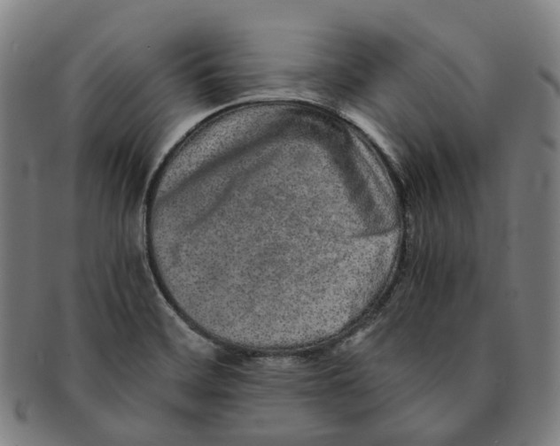 X0000090991468200708301301