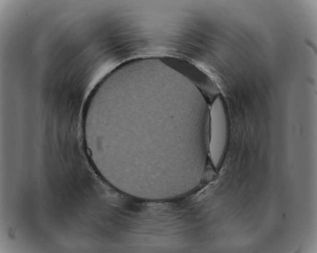 X0000090991469200708301301