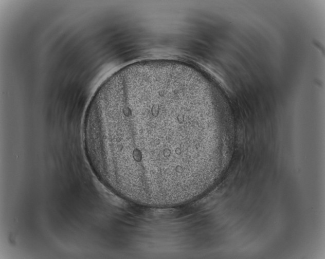 X0000090991471200708301301